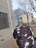 笙格兒 帽子男女士冬季保暖防寒雷鋒帽戶外棉帽東北加絨加厚騎車冬天防風(fēng)護(hù)耳 黑色-黑色眼鏡 均碼 曬單實拍圖