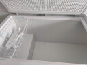 雪花（SNOWFLK）冰柜商用家用大容量卧式冰柜冷柜冷藏冷冻转换柜 BD/BC-1388 实拍图