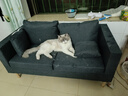 穿靴子的貓公寓小沙發(fā)客廳小戶(hù)型出租房布藝單人沙發(fā)ins風(fēng)臥室雙人簡(jiǎn)易沙發(fā) 淺灰色 兩人位 120cm 曬單實(shí)拍圖