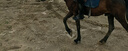 八尺龍（BASLONG）馬術(shù)靴馬靴兒童男女騎馬靴防滑專業(yè)騎士靴短靴八尺龍裝備加絨可選 黑色 標(biāo)準(zhǔn)款 44 曬單實(shí)拍圖