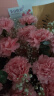 艾斯维娜520情人节鲜花速递向日葵混搭花束生日礼物全国同城配送 19朵康乃馨花束 实拍图