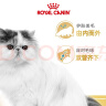 皇家猫粮 波斯成猫粮 P30 通用粮 12月以上 2KG 实拍图