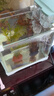 森森 魚(yú)缸水族箱超白玻璃烏龜缸 生態(tài)敞開(kāi)式桌面水族箱 LED水草缸HWK 180裸缸+過(guò)濾器HJ-111B 曬單實(shí)拍圖