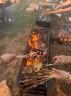 WhitePeak烧烤炉家用折叠便携式小型烤炉烤肉架户外炉子木炭架子烧烤用具 晒单实拍图
