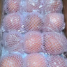 京鲜生 山东栖霞红富士苹果精品12粒 单果190g-240g  水果礼盒 实拍图
