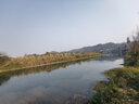 野釣一包搞定香腥餌料魚(yú)餌60克/袋野釣黑坑鯽魚(yú)鯉魚(yú)拉餌餌水1:0.9 一包搞定60克（香腥）10包 曬單實(shí)拍圖