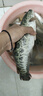 龍王恨（LOONVA） 藍鯽魚(yú)餌腥世界快攻藍鯽X5腥香野釣鯽魚(yú)鯉魚(yú)餌料黑坑釣魚(yú)餌料 腥世界【2包】共600克 曬單實(shí)拍圖