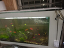 奧凌恒業(yè)奧凌冷水機(jī)水族箱降溫魚缸制冷器淡水海水制冷壓縮機(jī)水冷機(jī)省電 1/3HP（單冷水機(jī)） 曬單實(shí)拍圖