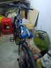 鳳凰（Phoenix）可折疊山地車自行車男士女士成人學(xué)生減震變速單車越野青少年單車 黑藍(lán)色-十刀輪 適合160-185CM 26英寸 30速-可鎖死前叉-贈(zèng)手機(jī)支架 曬單實(shí)拍圖