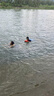 dvp救生浮筒跟屁圈蟲游泳專用浮力棒成人浮漂標(biāo)防溺水上裝備浮板A05 救援橙色【單人款】 曬單實(shí)拍圖