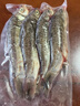 漁水依微山湖原生態(tài)鮮活大鯽魚淡水新鮮小土鯽魚鯽瓜子燉湯孕婦滋補(bǔ)河鯽 中號鯽魚（每斤4-5條） 5斤 曬單實(shí)拍圖