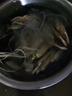 森森養魚(yú)打氧機小型增氧泵賣(mài)魚(yú)增氧機海鮮魚(yú)缸充氧泵大功率打氧機養魚(yú) 曬單實(shí)拍圖