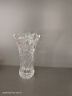 军英（JUNYING） 军英 玻璃花瓶彩色磨砂透明水培植物插花瓶客厅餐厅摆件花瓶 加厚水晶玻璃瓶33-3 1只装 实拍图