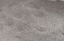 HONEYCARE 膨润土猫砂12升 【月球】矿砂混合低尘高效结团省用量猫砂  实拍图
