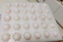 保卫蛋蛋新鲜鸽子蛋农家孕妇宝宝杂粮喂养送礼礼盒端午节送礼 初生蛋30枚(宝宝鸽蛋) 实拍图