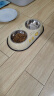 HELLOJOY猫碗不锈钢双碗狗食盆宠物粮食碗干湿分离防打翻水碗 米色小号 实拍图