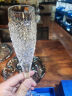 BOHEMIA Crystal捷克进口水晶香槟杯一对结婚送礼新人礼物高档高脚杯子红酒杯套装 妮可透明水晶·香槟杯 180ml 晒单实拍图