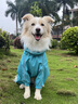 MOEPIE狗狗雨衣金毛邊牧拉布拉多中大型犬雨衣2025全包四腳透氣雨衣 綠色 3XL＋（推薦50-65斤） 曬單實拍圖