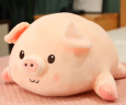 zak!毛绒玩具猪抱枕睡觉可爱猪猪公仔女孩玩偶娃娃小猪睁眼40cm 实拍图