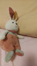 zak!毛绒玩具小兔子玩偶娃娃孩抱枕兔兔公仔娃娃送女友生日礼物暖阳35 晒单实拍图
