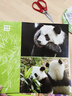 自選】熊貓的故事 精裝禮品畫(huà)冊 可愛(ài)的熊貓 作者 譚楷 編著(zhù)新書(shū)三年級推薦 蛇年禮物書(shū)籍兒童禮物圖書(shū)男孩女孩 熊貓的故事 中文版 曬單實(shí)拍圖