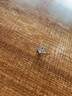 戚小米四芒星耳釘男士設計師氣質(zhì)高級大氣耳環(huán)網(wǎng)紅2026新款美式男生耳飾 北極星耳釘【一對】 曬單實(shí)拍圖