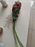 中度玫瑰假花仿真花擺設(shè)裝飾絹花擺件客廳花束干花仿生花牡丹插花 3紅2玫紅 -共 5支 曬單實(shí)拍圖