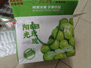 橙市碼頭陽(yáng)光玫瑰 晴王葡萄 日本引進(jìn)品種香印無(wú)籽提子 當季水果禮盒送禮 特級果 3斤 【精美禮盒 凈重2.5-3斤】 陽(yáng)光玫瑰 曬單實(shí)拍圖