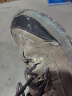 领航骆驼单棉同款 户外运动鞋时尚登山鞋休闲鞋男士硬汉徒步鞋 棕色 42 实拍图
