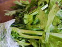 有機(jī)西芹有機(jī)蔬菜榨汁生食沙拉現(xiàn)摘新鮮健身生酮飲食包順豐空運(yùn) 4.5斤順豐空運(yùn) 曬單實(shí)拍圖