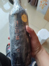 詩(shī)百篇（SHIBAIPIAN）RP94分精品國產(chǎn)懷來(lái)紅酒珍藏美樂(lè )干紅葡萄酒高端送禮順豐酒莊直發(fā) 2015年750ml*1瓶 曬單實(shí)拍圖