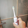 博皓（prooral）声波电动牙刷护龈压感提醒 自动牙刷成人充电式 情侣款 生日礼物T33 白色 实拍图