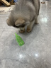 MamyPets 狗玩具發(fā)聲耐咬磨牙自己玩解悶神器小中大型犬互動(dòng)寵物益智玩具 綠色【不帶球】發(fā)聲耐咬 曬單實(shí)拍圖