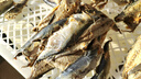 栗斕優(yōu)巴浪魚干肉正宗無頭咸魚干去骨去內(nèi)臟魚片魚肉干巴浪魚干批發(fā)福建 巴浪魚削片肉1500克 曬單實拍圖
