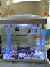 森森（SUNSUN）鱼缸水族箱桌面生态金鱼缸玻璃迷你小型客厅懒人免换水家用缸 (高清玻璃)白230+小桥流水景(带20件套) 实拍图