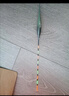 小鳳仙一體高亮夜光漂高靈敏咬鉤變色鯽魚(yú)漂水無(wú)影醒目日夜兩用鰱鳙浮漂 T-DI05 野釣綜合 鉛約1.8-1.9g 日夜兩用（咬鉤變色） 曬單實(shí)拍圖