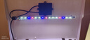 智洋魚(yú)缸燈管觀(guān)賞迷你LED節能水族箱照明燈蝦缸水草燈藍白燈 hx-180/hx-240f原裝LED燈管 曬單實(shí)拍圖