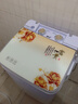揚子大單桶家用大容量洗衣機半自動(dòng)小型迷你洗衣機宿舍租房 揚子8(kg)大方桶金玉滿(mǎn)堂玻璃款 曬單實(shí)拍圖