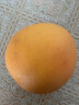 庄庚  南非进口红心西柚葡萄柚新鲜应季当季孕妇水果 巨无霸350-400克  5个 实拍图