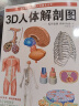 3D人体解剖图：骨骼、关节、肌肉 实拍图