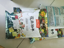 小鎮(zhèn)有花二月蘭種子 新種子草花種子諸葛菜花卉種子耐寒耐陰綠化種子500克 曬單實拍圖