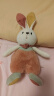 zak!毛绒玩具小兔子玩偶娃娃孩抱枕兔兔公仔娃娃送女友生日礼物暖阳35 晒单实拍图