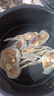 饞咄咄高品質(zhì)鱷魚干 煲湯鱷魚肉干 純手工切割烘干生曬鱷魚肉干煲湯食材 鱷魚腿、尾骨肉干500克（送料包 曬單實拍圖
