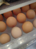保卫蛋蛋 鲜鸡蛋 50枚 礼盒装 宝宝孕妇放心吃 2.25kg/盒 实拍图