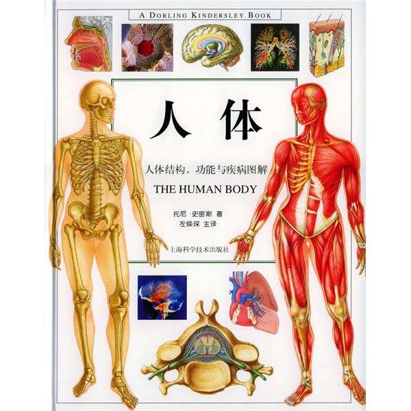 人体:人体结构,功能与疾病图解