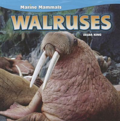 【预订】walruses