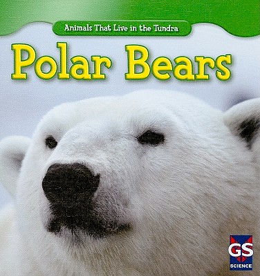 【预订】polar bears