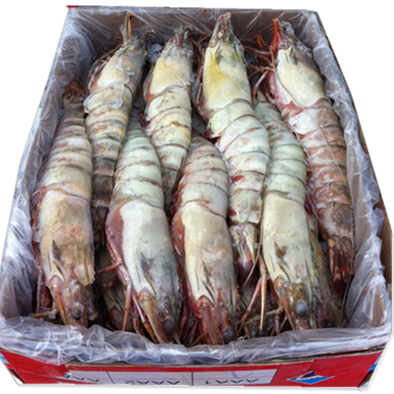 聚福鲜 进口冷冻海鲜 印尼深海超级大虎虾5000g/箱 18只 新鲜红虎虾