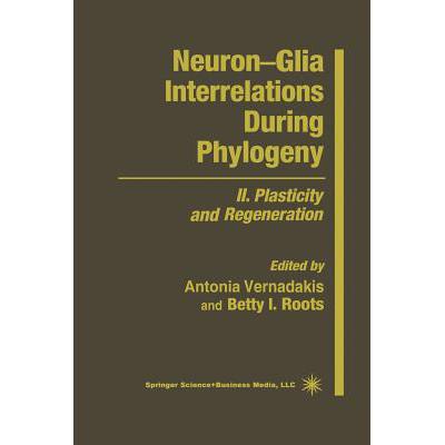 neuron glia interrelations during phylog.