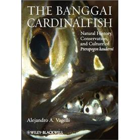 the banggai cardinalfish